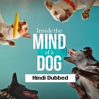 Inside the Mind of a Dog (2024) Hindi Dubbed Full Movie Watch Online HD Free Download