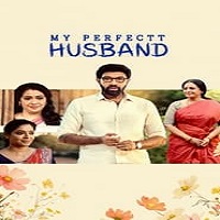 My Perfectt Husband (2024) Season 01 Hindi  Watch Online HD Free Download