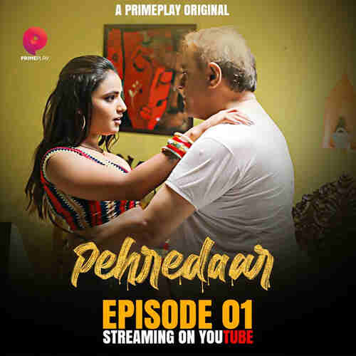 Pehredaar (2024) Part 01 Hindi  Watch Online HD Free Download