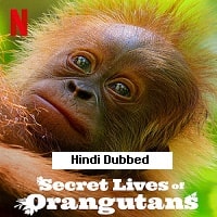 Secret Lives of Orangutans (2024)  Hindi Dubbed Full Movie Watch Online HD Free Download