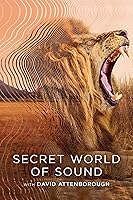 Secret World of Sound with David Attenborough (2024) Season 01 Hindi Dubbed Watch Online HD Free Dow